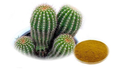 Hoodia gordoni with Reduslim