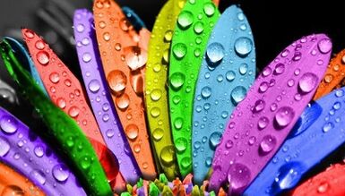 How to lose weight on the 6-petal diet